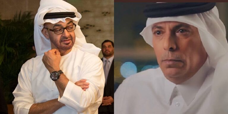 مخططات محمد بن زايد في اليمن