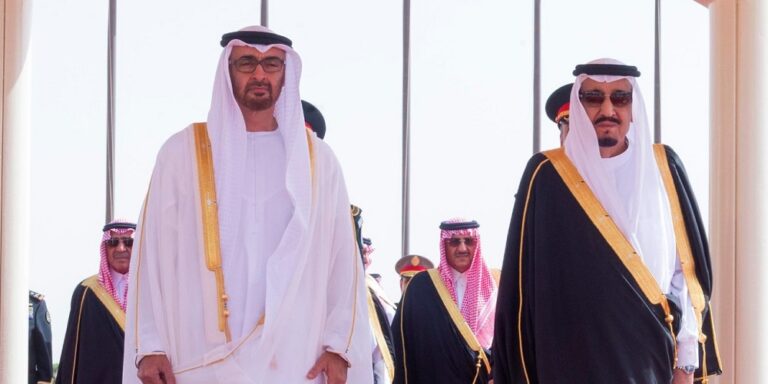 الملك سلمان ومحمد بن زايد