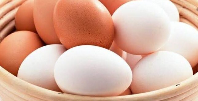 ما الفرق بين البيض ذي القشرة البنية  