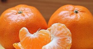 فئات ممنوعة من تناول البرتقال ويوضح
