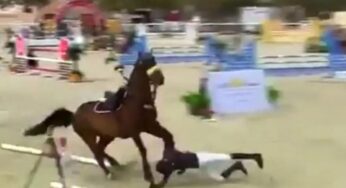 شاهد بالفيديو.. سقوط مروع لفارس قطري أثناء مسابقة للخيل في قفز الحواجز