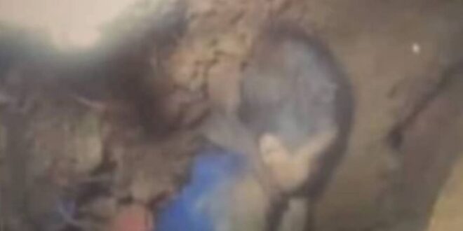 الطفل ريان المغربي المحتجز داخل البئر