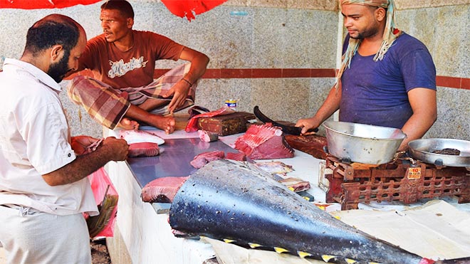 بعد الدواجن .. ارتفاع قياسي لأسعار الأسماك وغير مسبوق ..مالذي يجري في عدن؟