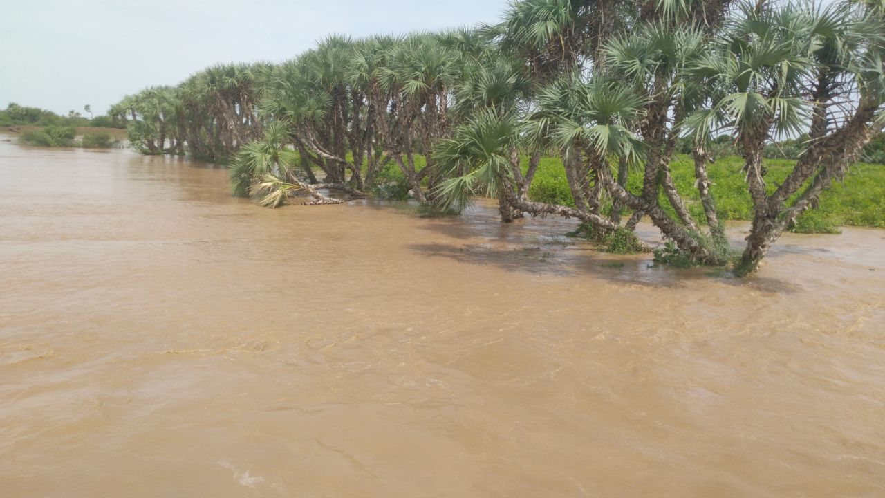 وردنا الآن: تحذير عاجل من أمطار غزيرة تضرب عدد من المحافظات اليمنية هذا المساء