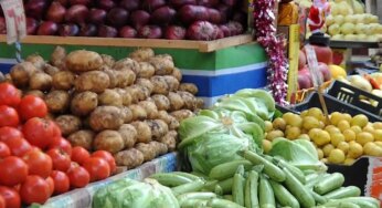 “بأفضل سعر” أسعار الخضروات اليوم الأحد 10/11/2024 بسوق العبور