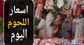 تابع أحدث أسعار اللحوم اليوم السبت 9 نوفمبر 2024 في الأسواق المصرية