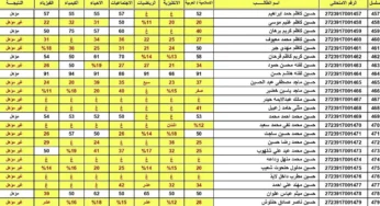 كشوف pdf.. رابط نتائج السادس الاعدادي 2024 الدور الثالث بالاسم عبر موقع نتائجنا في عموم المحافظات العراقية